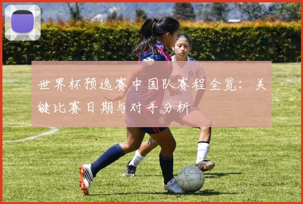世界杯预选赛中国队赛程全览：关键比赛日期与对手分析